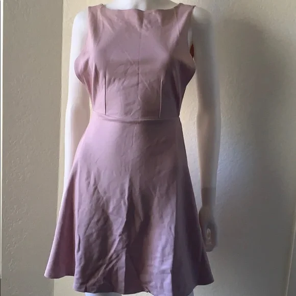american apparel pink skater dress American Apparel | Dresses | American Apparel Mauve Ponte Sleeveless Skater Dress